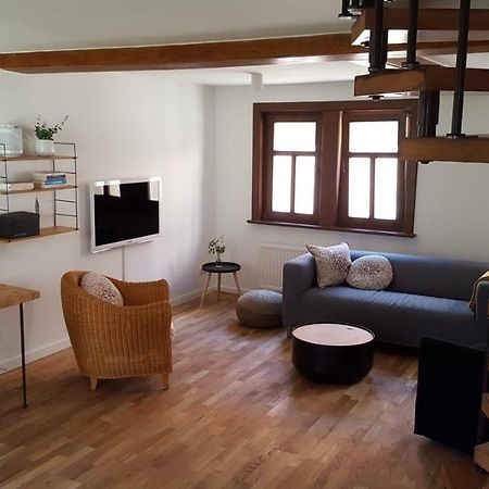 에르푸르트 Haus Zum Wilden Manne 빌라 외부 사진