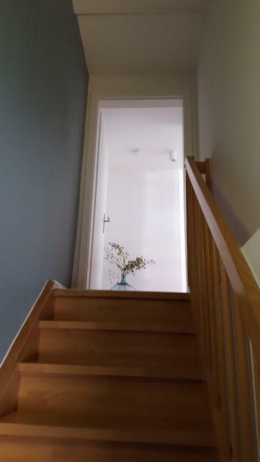 에르푸르트 Haus Zum Wilden Manne 빌라 외부 사진
